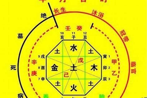 十神查詢|生辰八字算命、五行喜用神查询（免费测算）